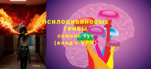 трава Аркадак