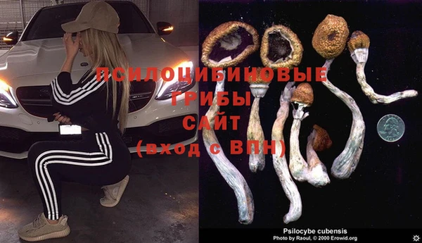 дурь Балабаново