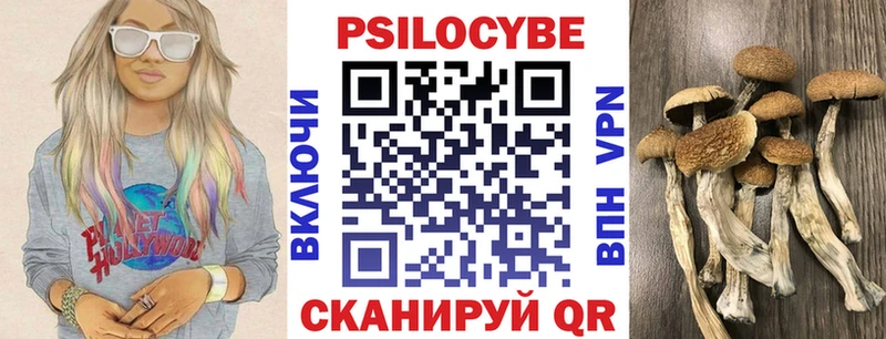 наркотики  ОМГ ОМГ   Галлюциногенные грибы GOLDEN TEACHER  Малгобек 
